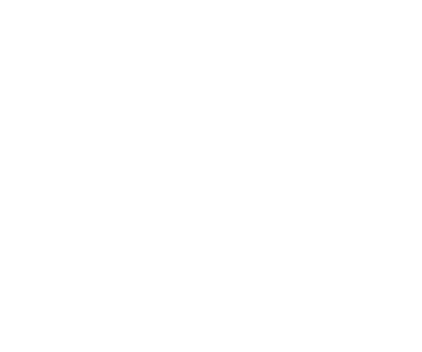 NM logo